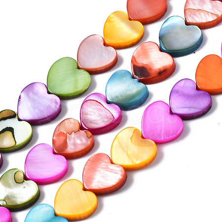 Natural Freshwater Shell Beads Strands SHEL-S278-024A-1