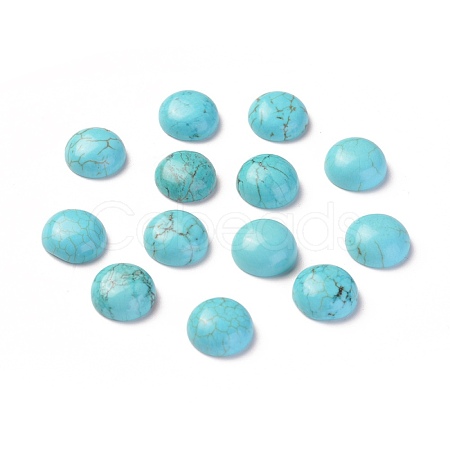 Natural Howlite Cabochons TURQ-L031-033A-01-1