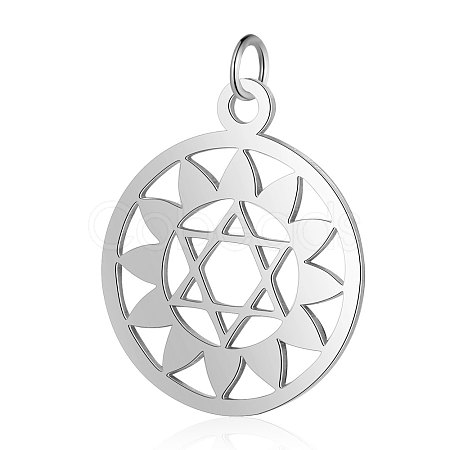 Non-Tarnish 304 Stainless Steel Pendants STAS-S105-T528S-1