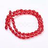 Glass Beads Strands GLAA-R024-15x10mm-M-2