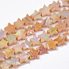 Freshwater Shell Beads Strands SHEL-N026-08C-1