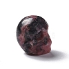 Natural Rhodonite Beads G-I352-04-4