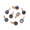 Natural Blue Spot Jasper Charms G-N326-141A-2