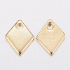 304 Stainless Steel Charms STAS-G179-82G-2