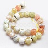 Natural Fire Agate Beads Strands G-L084-14mm-39-3