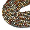Natural Ocean Jasper Beads Strands G-A260-A05-01-3