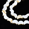 Natural Freshwater Shell Beads Strands SHEL-N026-151-3