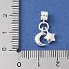 925 Sterling Silver European Dangle Charms STER-H115-01S-3
