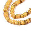 Natural Trochid Shell/Trochus Shell Beads Strands SHEL-S258-081-B11-3