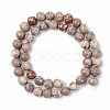 Natural American Turquoise Beads Strands X-G-S369-001D-B08-2