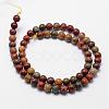 Natural Polychrome Jasper/Picasso Stone/Picasso Jasper Bead Strands G-D840-85-6mm-2