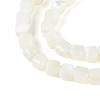 Natural Trochid Shell/Trochus Shell Beads Strands SSHEL-N041-04B-01-3