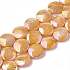 Freshwater Shell Beads Strands LS-SHEL-S274-52D-1
