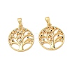 Brass Micro Pave Cubic Zirconia Pendants CU-CBA84C5-09G-01-1