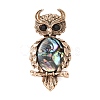 Owl Shape Antique Alloy Rhinestone Lapel Pins JEWB-B038-04AG-1