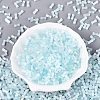 FGB Grade A Drawbench Style Glass Seed Beads SEED-Q040-01A-04-2