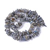 Natural Labradorite Beads Strands X-G-I225-15A-2