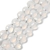 Natural White Agate Beads Strands G-B153-A02-2