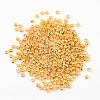 Brass Crimp End Beads X-E002-G-2