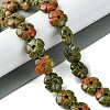 Natural Unakite Beads Strands G-H023-B02-01-2