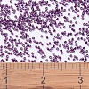 MIYUKI Delica Beads SEED-X0054-DB0463-4