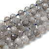 Faceted Round Natural Labradorite Bead Strands G-I156-03-4mm-3