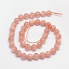 Natural Sunstone Beads Strands G-M262-10mm-06-2