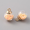 Glass Pendants GLAA-TAC0012-12B-1