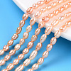 Natural Cultured Freshwater Pearl Beads Strands PEAR-N012-03M-1