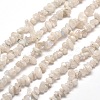 Natural Rainbow Moonstone Chip Bead Strands G-M205-62-1