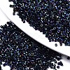 FGB 11/0 Grade A Glass Seed Beads X-SEED-S030-0604-1