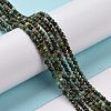 Natural African Turquoise(Jasper) Beads Strands G-P472-02-4