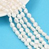 Natural Cultured Freshwater Pearl Beads Strands PEAR-P064-20C-04C-1