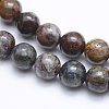 Natural Pietersite Beads Strands G-P336-01-8mm-3
