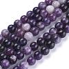 Natural Lepidolite/Purple Mica Stone Beads Strands G-K415-8mm-2