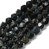 Natural Kambaba Jasper Beads Strands G-Z119-A20-02-3