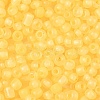 6/0 Luminous Glass Seed Beads X1-SEED-NH0001-01L-4