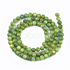 Freshwater Shell Beads Strands SHEL-S276-32D-2