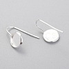 304 Stainless Steel Earring Hooks STAS-F227-22A-S-2