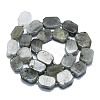 Natural Labradorite Beads Strands G-K245-J21-01-2