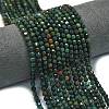 Natural Bloodstone/Heliotrope Stone Beads Strands G-A260-A40-01-1