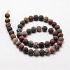 Natural Polychrome Jasper/Picasso Stone/Picasso Jasper Frosted Bead Strands G-O155-03B-8mm-2