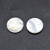 Shell Cabochons SSHEL-E568-B02-1