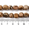 Natural Picture Jasper Beads Strands G-G146-A01-02-5