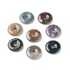 Donut/Pi Disc Natural Gemstone Pendants G-L234-30mm-12-1