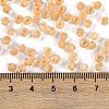 Glass Seed Beads SEED-A032-05K-4