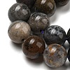 Natural Dendritic Jasper Beads Strands G-R494-A23-04-3