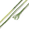 10 Skeins 6-Ply Polyester Embroidery Floss OCOR-K006-A02-3