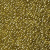 6/0 Glass Seed Beads SEED-US0003-4mm-110-2