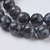 Natural Larvikite Beads Strands G-G542-10mm-27-3